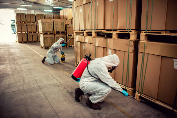 Best Pest Prevention Services  in California, MD