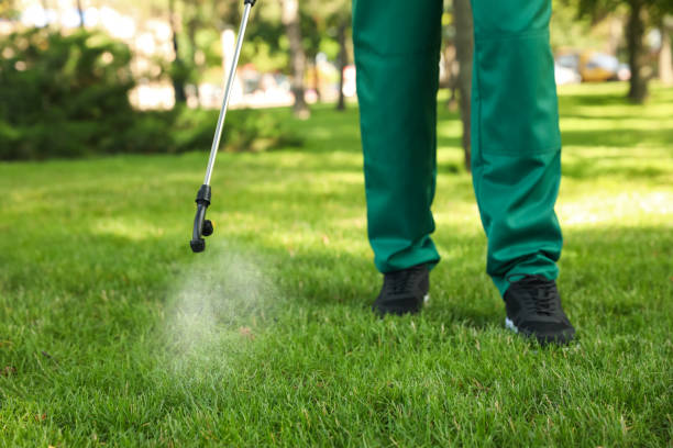 Best Pest Removal Services  in California, MD