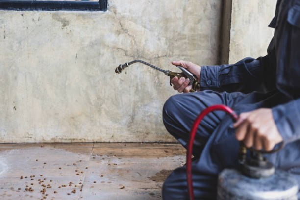 Best Pest Control for Homes  in California, MD